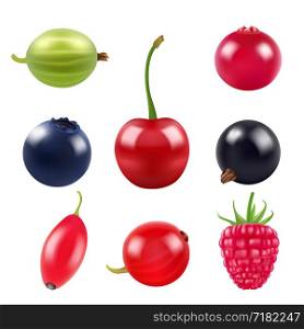 Realistic pictures of berries. Various fresh fruits blackberry, blueberry and barberry. Vector illustration. Realistic pictures of berries. Various fresh fruits