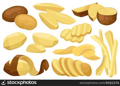 Realistic potato mega set graphic elements in flat design. Bundle of raw whole root crops and sliced pieces in different shapes for cooking, chips and fries. Vector illustration isolated objects. Realistic Potato Vector Set