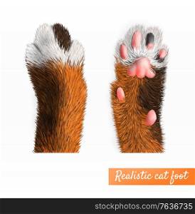 Realistic pretty cat foot top and bottom view set isolated on white background vector illustration