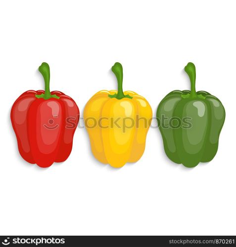 Realistic red, yellow, green bell peppers, vector illustration