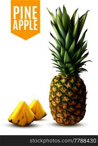 Realistic ripe pineapple and two fresh slices isolated on white background vector illustration. Realistic Pineapple Illustration