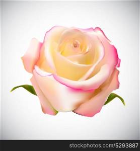 Realistic Rose High Quality Vector Illustration EPS10. Realistic Rose High Quality Vector Illustration