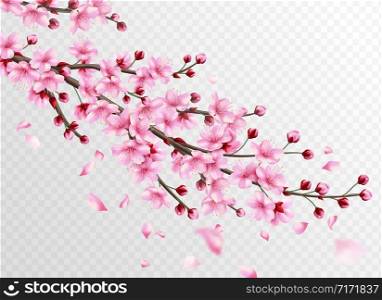 Realistic sakura. Beautiful sakura branches with pink flowers and falling petals, romantic floral japanese cherry oriental bloom decoration vector illustration. Realistic sakura. Beautiful sakura branches with pink flowers and falling petals, romantic floral japanese cherry decoration vector illustration