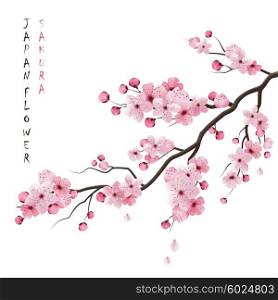 Realistic Sakura Branch. Realistic sakura japan cherry branch with blooming flowers vector illustration