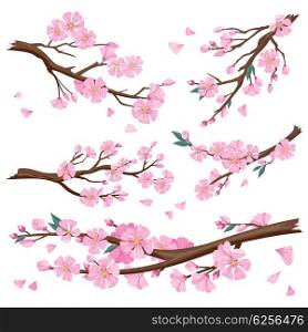 Realistic Sakura Japan Cherry Branch. Set of realistic sakura japan cherry branch with blooming flowers. Nature background with blossom branch of pink sakura flowers. Template isolated on white background. Vector illustration