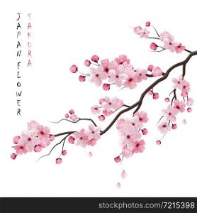 Realistic sakura japan cherry branch with blooming flowers vector illustration. Realistic Sakura Branch