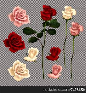 Realistic set of red pink and white roses isolated on transparent background vector illustration