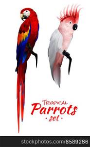 Realistic set of tropical parrots with red blue macaw and cockatoo with pink crest isolated vector illustration. Tropical Parrots Realistic Set
