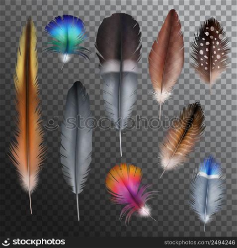 Realistic set with small and big multicolored bird feathers isolated on transparent background vector illustration. Feathers Realistic Transparent Set