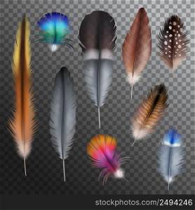 Realistic set with small and big multicolored bird feathers isolated on transparent background vector illustration. Feathers Realistic Transparent Set