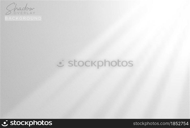 Realistic Shadow Overlay Background Design for Presentation with Soft Natural Lightning Effect. Vector Background Illustration. Graphic Design Element.