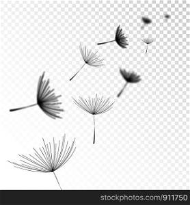 Realistic Shadow Overlay Effect Dandelion Flower on Transparent Background. Creative Overlay Effect for Mockups. Vector illustration. Realistic Shadow Overlay Effect Dandelion Flower on Transparent Background. Creative Overlay Effect for Mockups. Vector