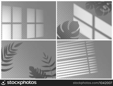 Realistic shadow overlay. Window light with shadow texture of tropical plant leaves on isolated background. Vector shade overlay abstract indoor lighting mockups. Realistic shadow overlay. Window light with shadow texture of tropical plant leaves on isolated background. Vector shade overlay mockups