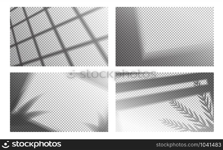 Realistic shadow overlay. Window light with shadows of tropical leaves on transparent background. Vector illustration overlay effect mockup calm contemporary scene wall with blurry outlines plant. Realistic shadow overlay. Window light with shadow of tropical leaves on transparent background. Vector overlay effect mockup