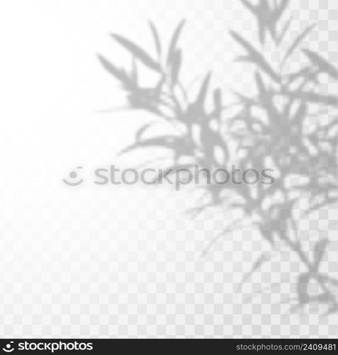 Realistic shadow tropical leaves and branches on transparent checkered background.