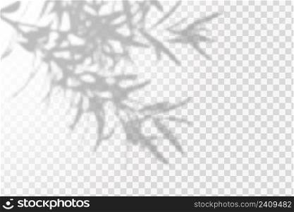 Realistic shadow tropical leaves and branches on transparent checkered background.