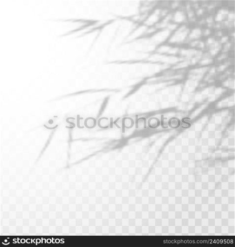 Realistic shadow tropical leaves and branches on transparent checkered background.