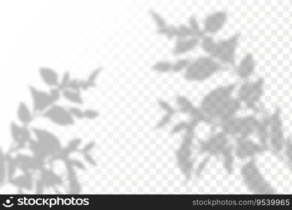 Realistic shadow tropical leaves and branches on transparent checkered background. The effect of overlaying shadows. Natural light layout.