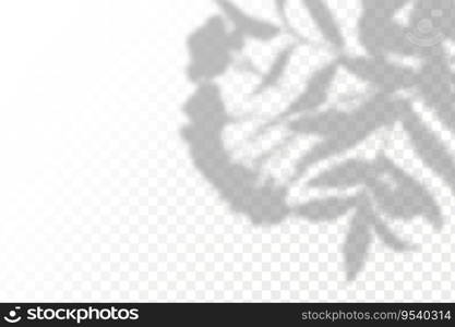 Realistic shadow tropical leaves and branches on transparent checkered background. The effect of overlaying shadows. Natural light layout.