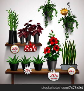 Realistic shop shelf with house plants and flowers vector illustration