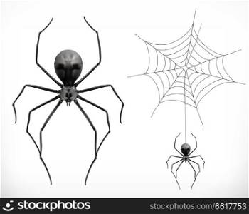 Realistic spider, halloween. 3d vector icon