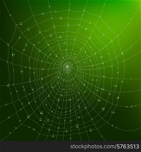 Realistic spider web with water drops on green background vector illustration. Spider Web With Drops