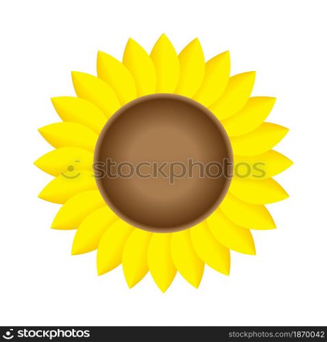 Realistic sunflower icon. Flower art. Agriculture background. Simple flat design. Vector illustration. Stock image. EPS 10.. Realistic sunflower icon. Flower art. Agriculture background. Simple flat design. Vector illustration. Stock image.