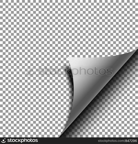 Realistic transparent Curled Corner with shadow. Eps10. Realistic transparent Curled Corner with shadow. Vector