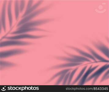 realistic transparent shadow from leaf palm tree pink background