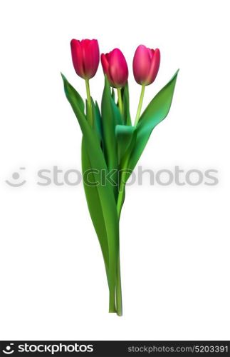 Realistic Vector Illustration Colorful Tulips . Not Trace. Pink Flowers on Transparent Background. EPS10. Realistic Vector Illustration Colorful Tulips . Not Trace. Pink