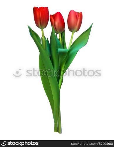 Realistic Vector Illustration Colorful Tulips . Not Trace. Pink Flowers on White Background. EPS10. Realistic Vector Illustration Colorful Tulips . Not Trace. Pink