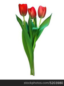 Realistic Vector Illustration Colorful Tulips . Not Trace. Pink Flowers on White Background. EPS10. Realistic Vector Illustration Colorful Tulips . Not Trace. Pink