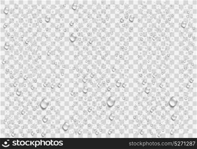 Realistic water droplets on the transparent background. Vector
