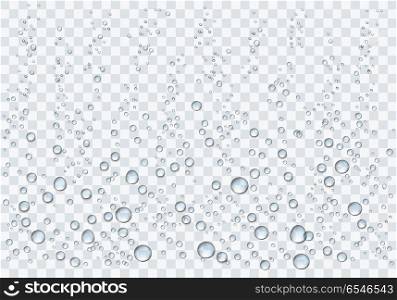 Realistic water droplets on the transparent background. Vector i. Realistic water droplets on the transparent background. Vector illustration. Realistic water droplets on the transparent background. Vector illustration