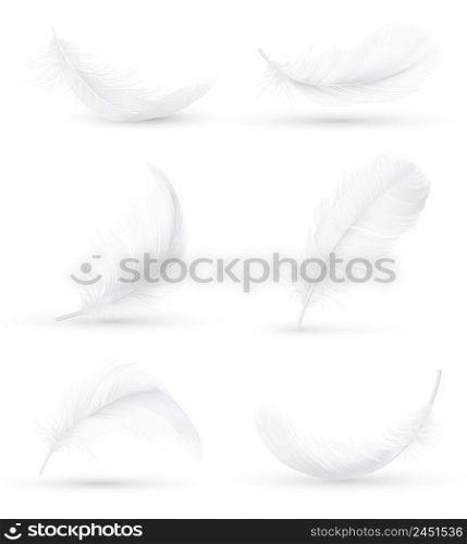 Realistic white bird feathers images set in 6 various positions and angles with shadow isolated vector illustration . White Feathers Realistic Set