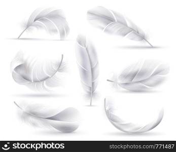 Realistic white feathers. Falling fluffy twirled bird or angel wings feathers. Flying, floating decorative feather vector innocence decoration element shapes plume isolated set. Realistic white feathers. Falling fluffy twirled bird or angel wings feathers. Flying, floating decorative feather vector set