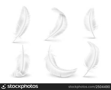 Realistic white feathers. Soft and fluffy birds and angel wings elements. Natural pillow filler. Differently curved plumage shapes. Avian fuzz. Isolated goose or swan quills. Vector feathering set. Realistic white feathers. Soft and fluffy birds and angel wings elements. Natural pillow filler. Differently curved plumage. Avian fuzz. Goose or swan quills. Vector feathering set