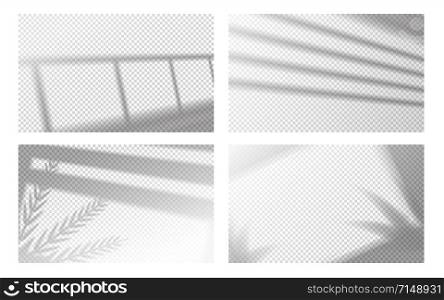 Realistic window shadow. Window frame and louvers with with tropical leaves, window light effect. Vector transparent shadows image set, reflected on wall or floor of room, on transparent background. Realistic window shadow. Window frame and louvers with with tropical leaves, window light effect. Vector transparent shadow set