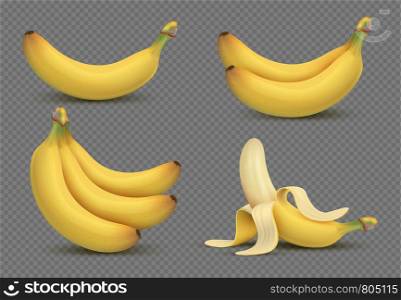 Realistic yellow banana, bananas bunch 3d vector illustration isolated on transparent background. Fresh fruit food, organic and ripe tropical illustration. Realistic yellow banana, bananas bunch 3d vector illustration isolated on transparent background