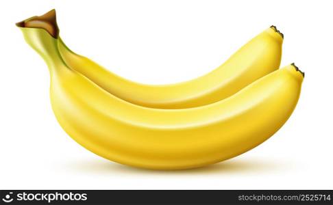 Realistic yellow banana. Tropical fruit bunch. Ripe fresh food. Diet dessert snack. Healthy natural eating product. Vegetarian meal ingredient. Vitamin nutrition. Vector delicious vegan appetizer. Realistic yellow banana. Tropical fruit bunch. Fresh food. Diet dessert snack. Healthy natural product. Vegetarian meal ingredient. Vitamin nutrition. Vector delicious vegan appetizer