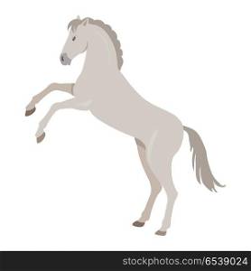 Rearing gray horse with hind legs vector. Flat design. Domestic animal. Country inhabitants concept. For farming, animal husbandry, horse sport illustrating. Agricultural species. Isolated on white. Rearing Grey Horse Illustration in Flat Design. Rearing Grey Horse Illustration in Flat Design