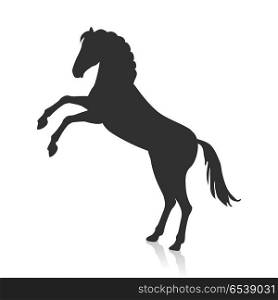 Rearing Grey Horse Illustration in Flat Design. Rearing horse with hind legs vector logo. Flat design. Domestic animal. Country inhabitants. For farming, animal husbandry, horse sport illustrating. Agricultural species. Isolated black on white