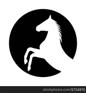 rearing up horse vector silhouette