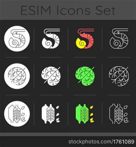 Reason for allergy dark theme icons set. Crustaceans and molluscs. Sesame seeds. Food intolerance. Common allergens. Linear white, solid glyph and RGB color styles. Isolated vector illustrations. Reason for allergy dark theme icons set