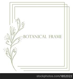 Rectangular triple frame with botanical element vector illustration. Natural plain rim. Minimalistic hand drawing blank frame for invitation or greeting card.. Rectangular triple frame with botanical element vector illustration.