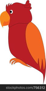 Red and orange parrot cartoon vector illustration on white background