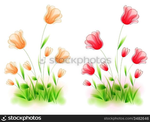 Red and orange vector tulips on a white background