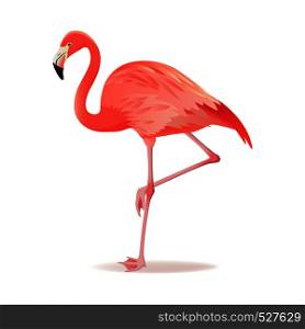 Red and pink flamingo vector illustration. Can be used for fashion print. Cool exotic bird standing, decorative design elements collection. Flamingo Isolated on white background. Red and pink flamingo vector illustration. Cool exotic bird standing, decorative design elements collection. Flamingo Isolated on white background