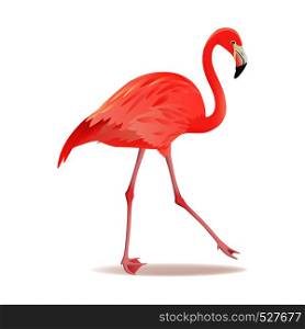 Red and pink flamingo vector illustration. Can be used for fashion print. Cool exotic bird walking decorative design elements collection. Flamingo Isolated on white background. Red and pink flamingo vector illustration. Cool exotic bird walking decorative design elements collection. Flamingo Isolated on white background