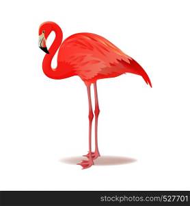 Red and pink flamingo vector illustration. Can be used for fashion print. Cool exotic bird standing, decorative design elements collection. Flamingo Isolated on white background. Red and pink flamingo vector illustration. Cool exotic bird standing, decorative design elements collection. Flamingo Isolated on white background